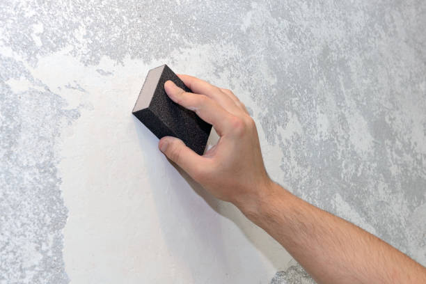 Best Mold Documentation for Insurance Claims  in Groesbeck, OH